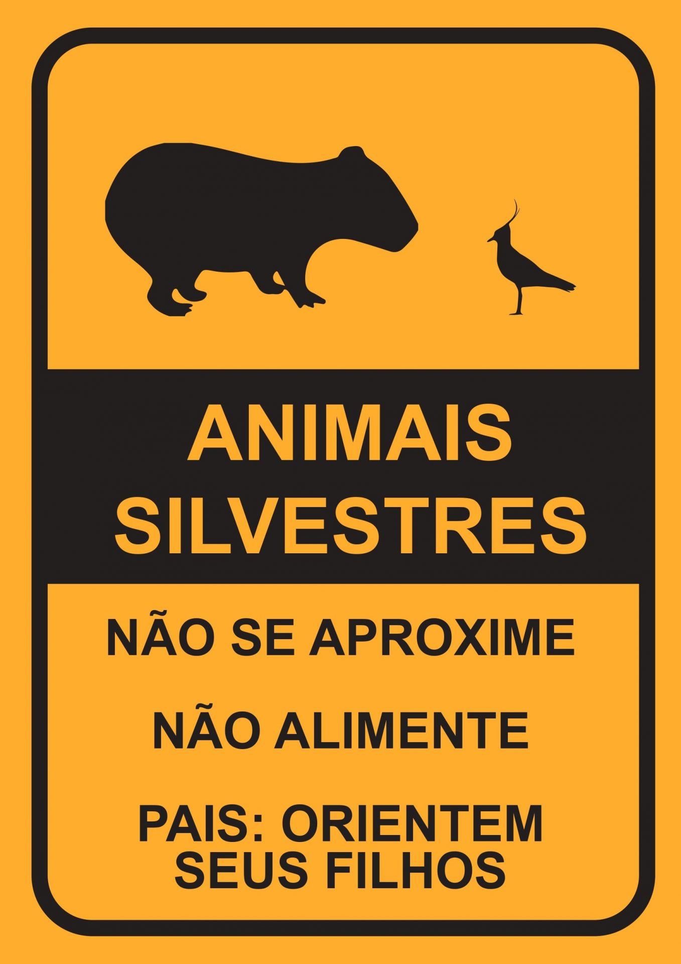 Convívio animais silvestres no clube requer atenção dos sócios